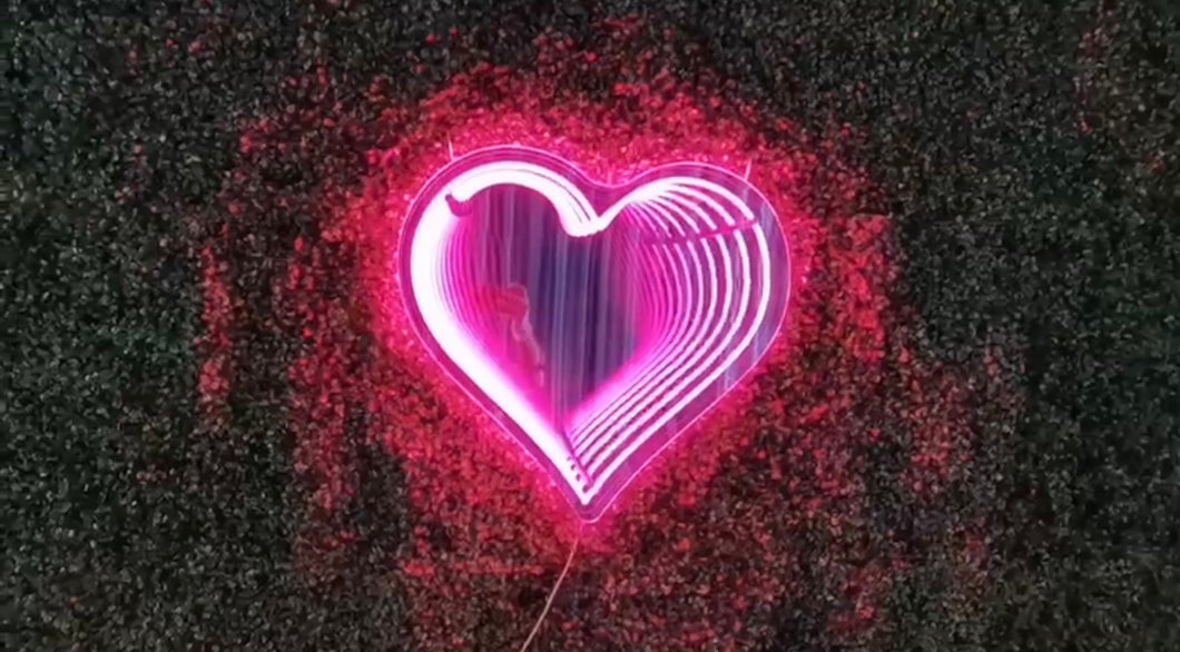 Mirror Heart Neon Sign